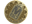 M80 (Gold) | Cologne 2026